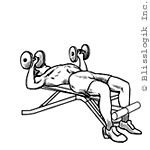 Bench Press
